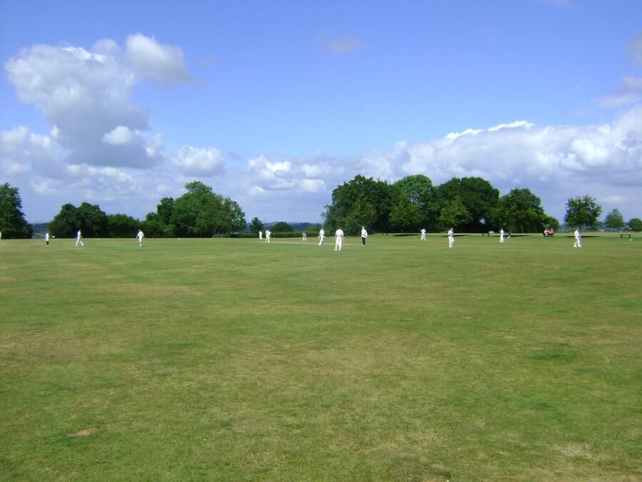 Cricket