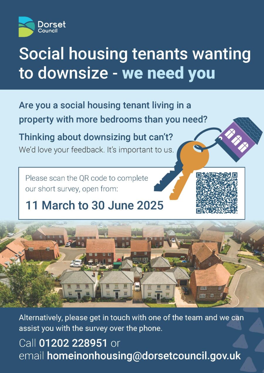 Social Housing Downsize Poster